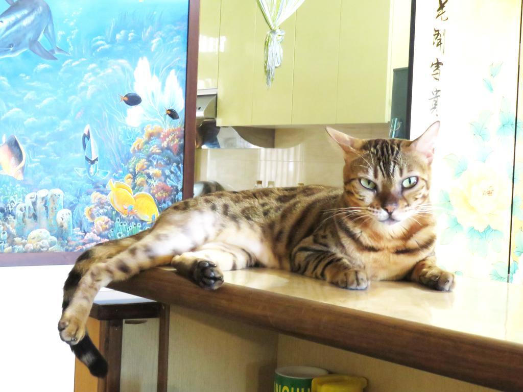 Tou Cheng Whale Watching Homestay 頭城鎮 エクステリア 写真