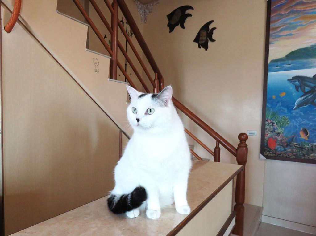 Tou Cheng Whale Watching Homestay 頭城鎮 エクステリア 写真